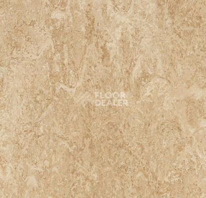 Кварцвиниловые полы Forbo Marmoleum Modular t2707 barley фото 1 | FLOORDEALER